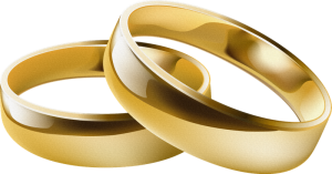 Wedding rings PNG-19481